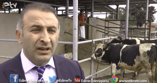 HOLSTEIN’LER EVİNE