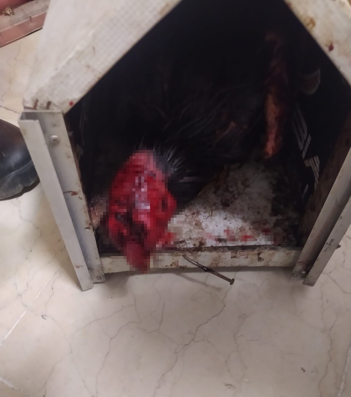 Tekirdağ’da yasa dışı yollarla horoz dövüşü düzenleyen ve kumar oynayan kişilere toplam 13 bin TL idari para cezası uygulandı. Kapaklı İlçe ...