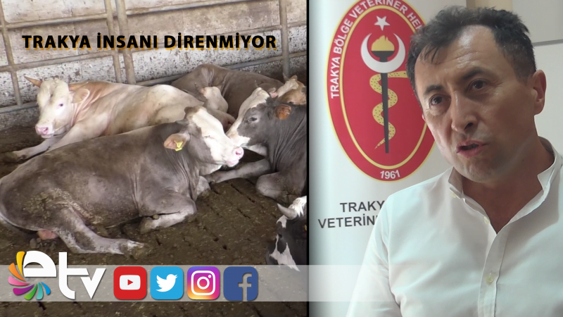 İLGÜ: TRAKYA İNSANI DİRENMİYOR