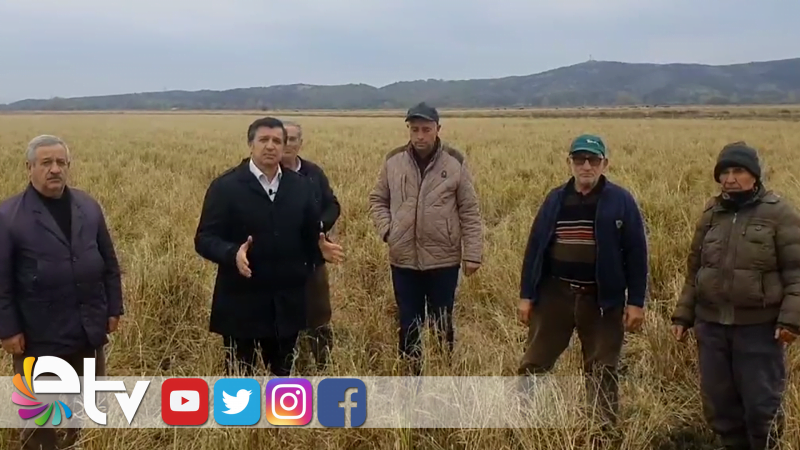 İPSALALI DOLU MAĞDURU ÜRETİCİLER YARDIM BEKLİYOR