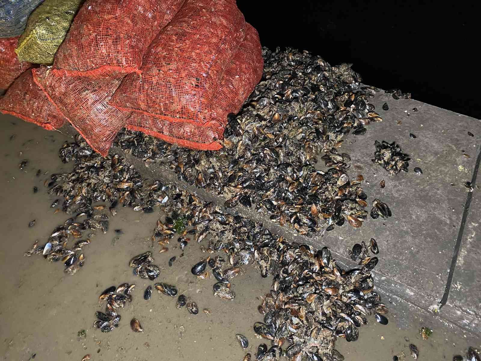 Kadıköy’de Sahil Güvenlik’ten kaçak midye avcılarına operasyon Kadıköy’de Sahil Güvenlik ekipleri, karanlığı fırsat bilerek denizde izinsiz şekilde midye toplayan 4 kişiyi yakaladı. Operasyonda, 10 bin lira ...