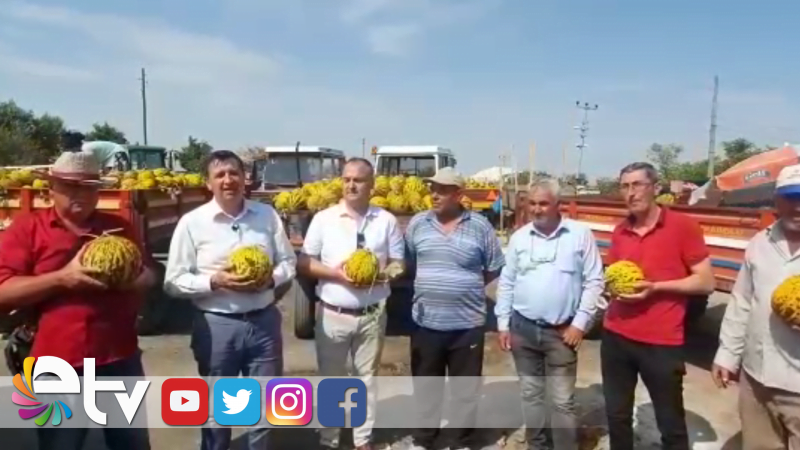 KAVUN ÇOK ALICI YOK!