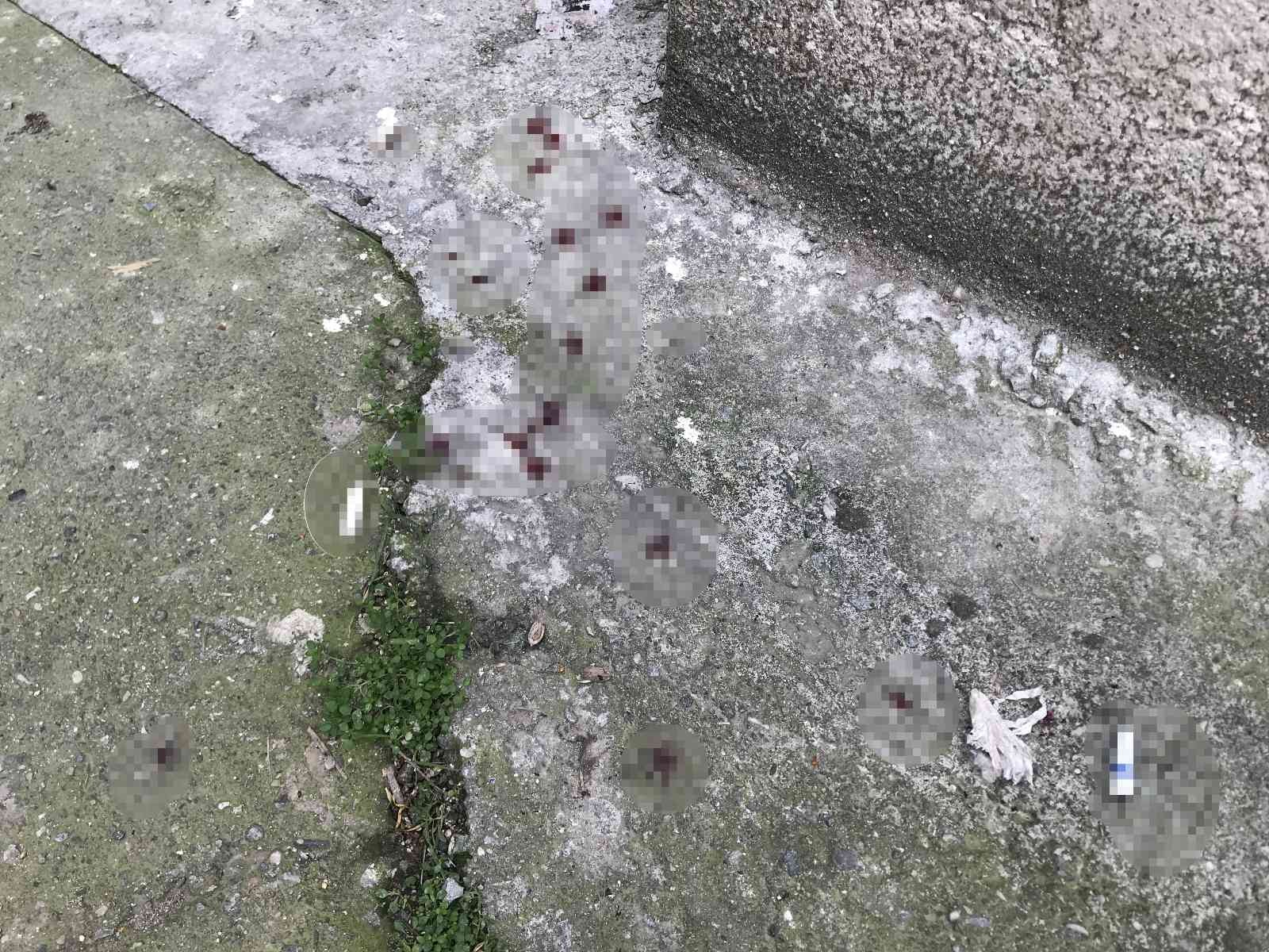 Kazara ateş alan tabancayla kendini ve arkadaşını yaraladı Kocaeli’de otomobilde tabancayla oynayan bir kişi, silahın kazara ateş alması sebebiyle önce kendini ardından arkadaşını yaraladı. Olay, Derince ...