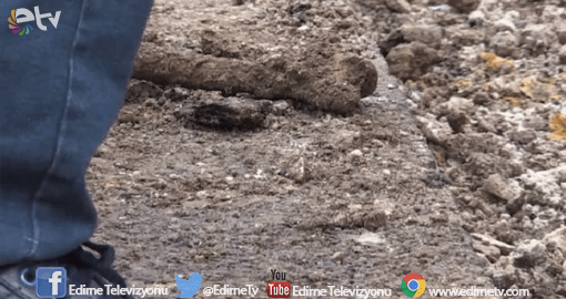 KAZI ÇALIŞMASINDA İNSAN KEMİKLERİ BULUNDU