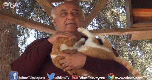KEDİLERİ İÇİN EVİNİ SATTI