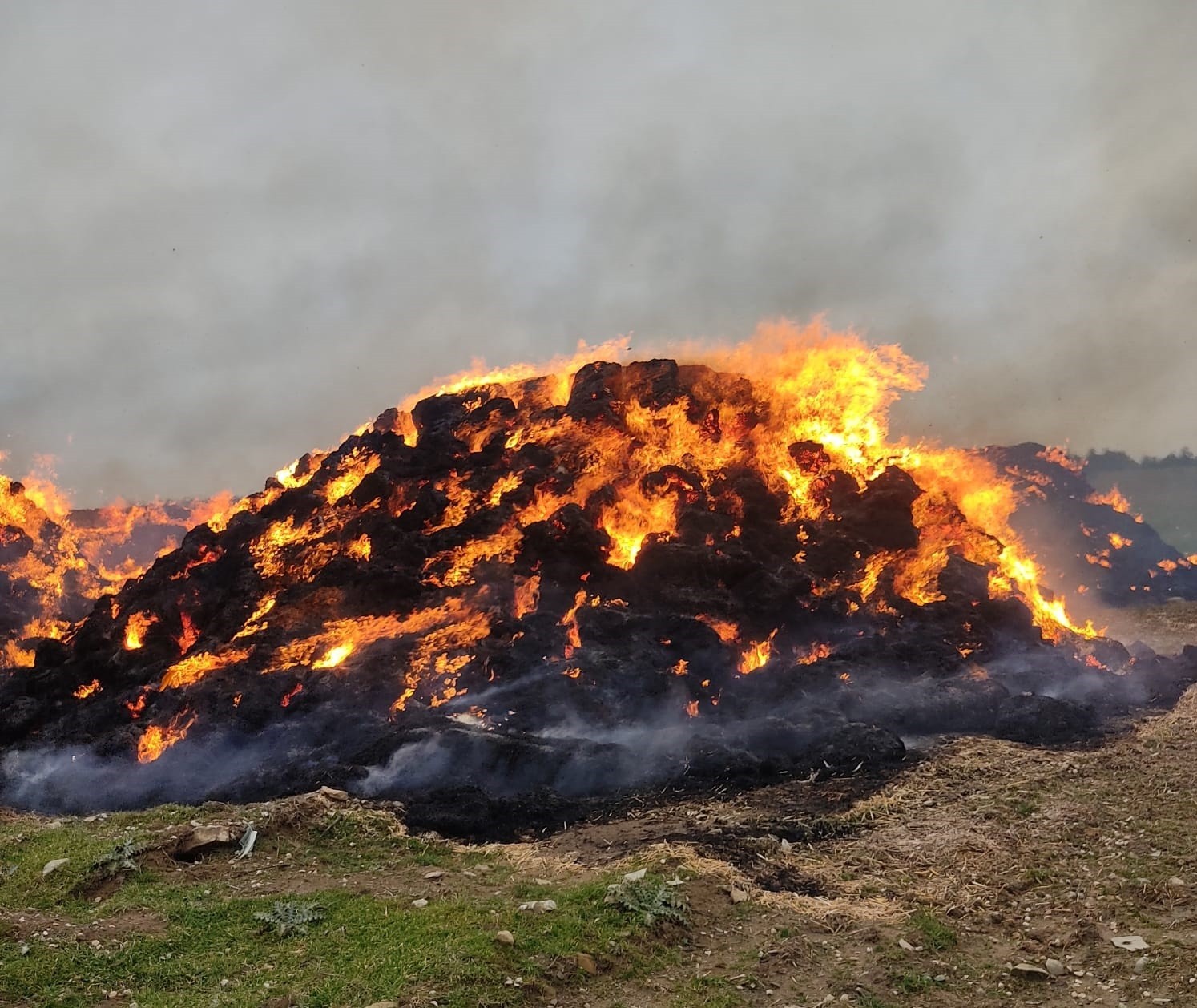 Keşan'da 8 bin saman balyası kül oldu Edirne’nin Keşan ilçesine bağlı Karlıköy’de köy dışında bulunan saman balyaları bilinmeyen bir sebeple alev aldı. İtfaiye ekiplerinin söndürdüğü ...