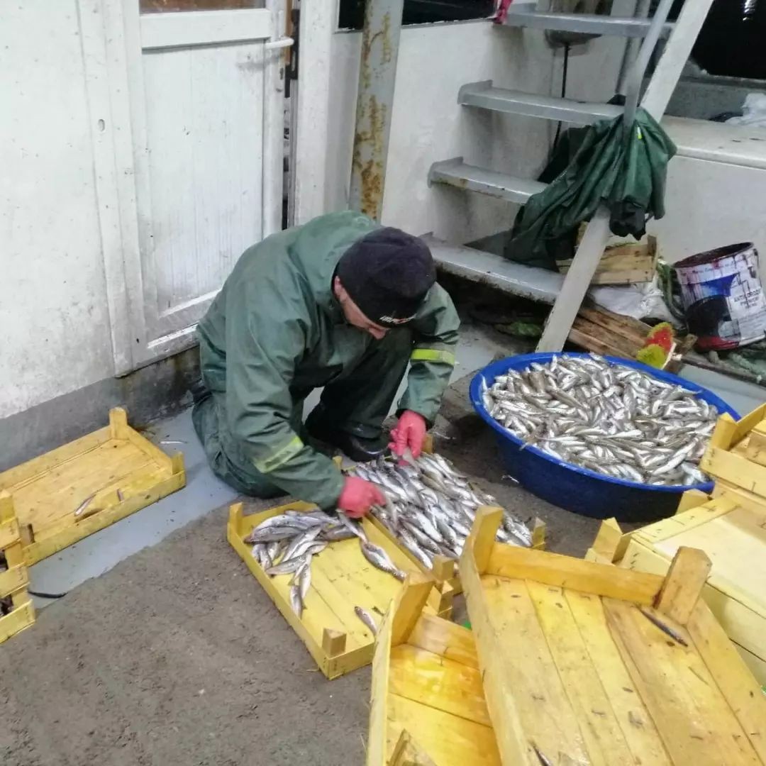 Kırklareli’nde balıkçılar denetlendi Kırklareli İl Tarım ve Orman Müdürlüğünce Vize ilçesine bağlı Kıyıköy beldesinde balıkçılar denetlendi. Kırklareli İl Tarım ve Orman Müdürlüğü ...