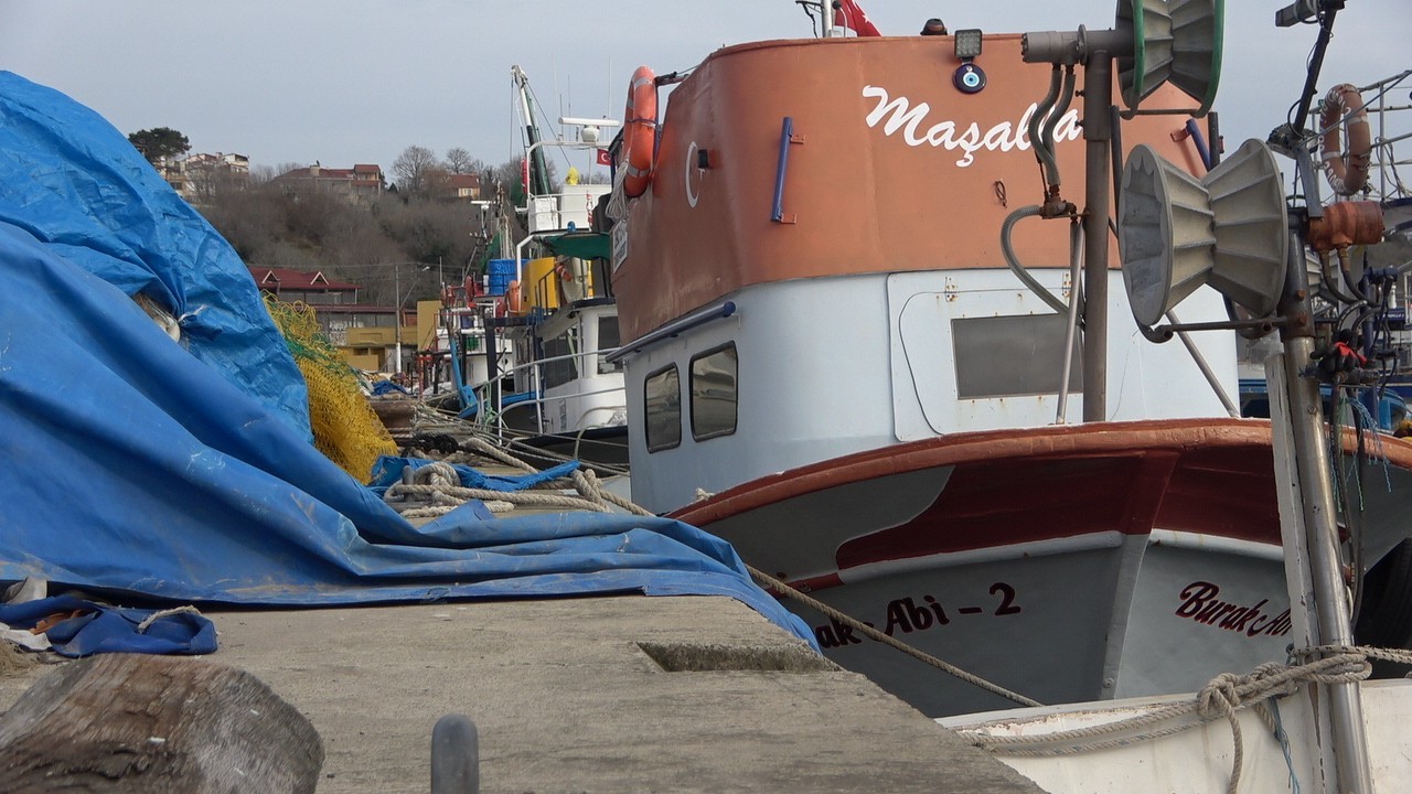 Karadeniz kıyısındaki İğneada’dq balıkçılar hava muhalefeti nedeniyle iki gündür denize açılamıyor. Balıkesir, Trabzon, İstanbul ve Samsun’dan ...