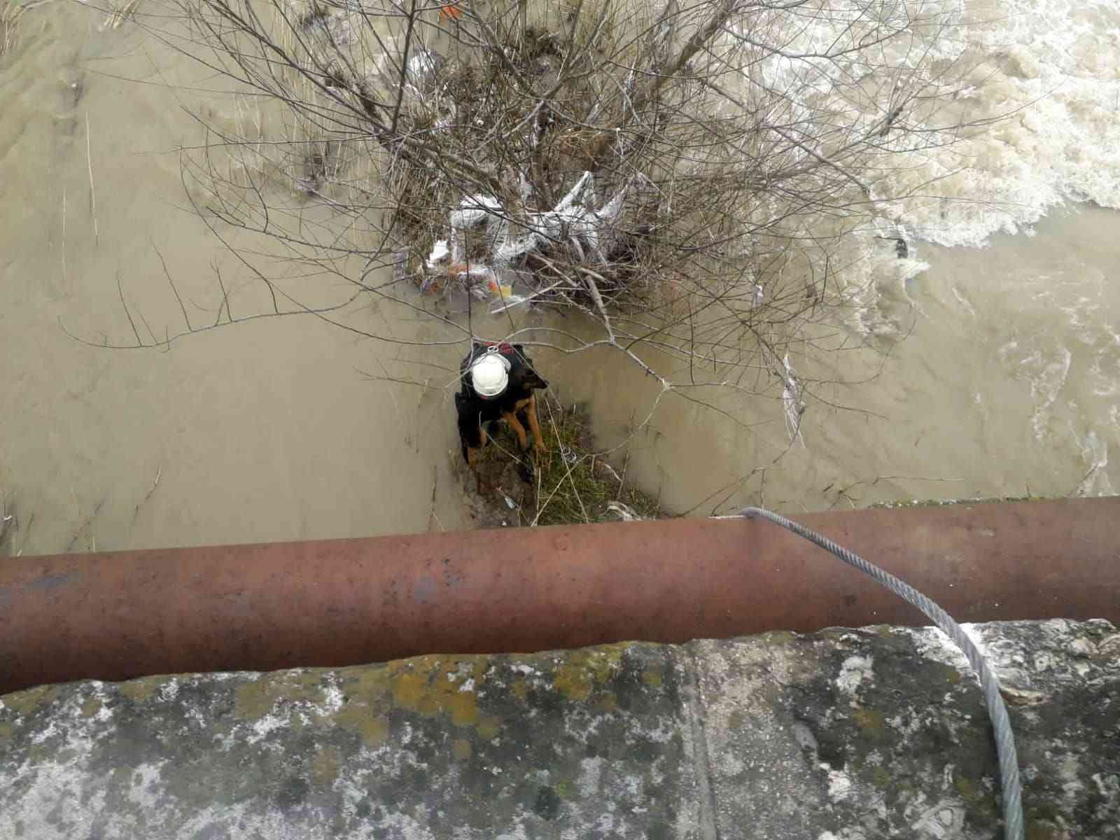 Kırklareli’nde derede kum adacığında mahsur kalan köpek kurtarıldı Kırklareli’nde sağanak yağış sebebiyle derenin debisinin yükselmesi sonucu kum adacığında mahsur kalan köpek, itfaiye ekiplerince kurtarıldı ...