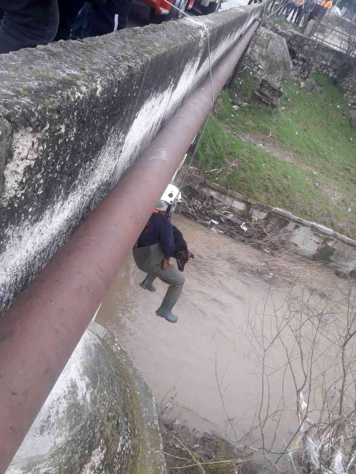 Kırklareli’nde derede kum adacığında mahsur kalan köpek kurtarıldı Kırklareli’nde sağanak yağış sebebiyle derenin debisinin yükselmesi sonucu kum adacığında mahsur kalan köpek, itfaiye ekiplerince kurtarıldı ...