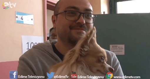 KÖPÜK İLE KURABİYE İLGİ ODAĞI OLDU