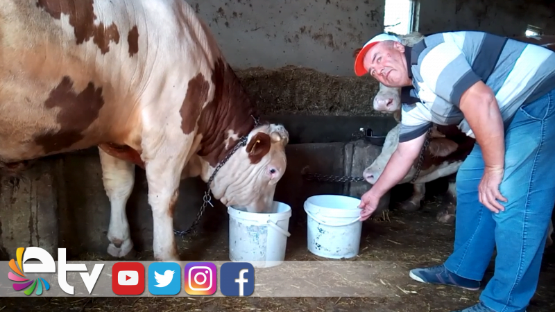 KÖYLÜLERİN SUSUZLUK ÇİLESİ