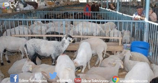 KURBAN KESİM YERLERİ BELİRLENDİ