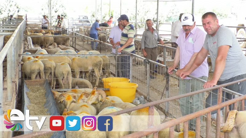 KURBANLIK SATIŞLARI ÜRETİCİYİ MEMNUN ETMEDİ