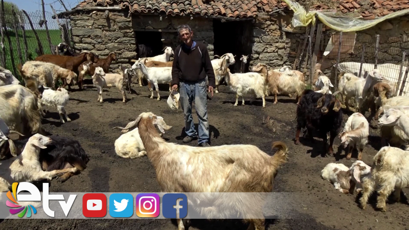 KURT SALDIRILARI KÖYLÜLERİ CANINDAN BEZDİRDİ