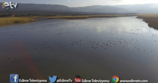 KUŞ SAYISI BU YIL 44 BİNİ AŞTI
