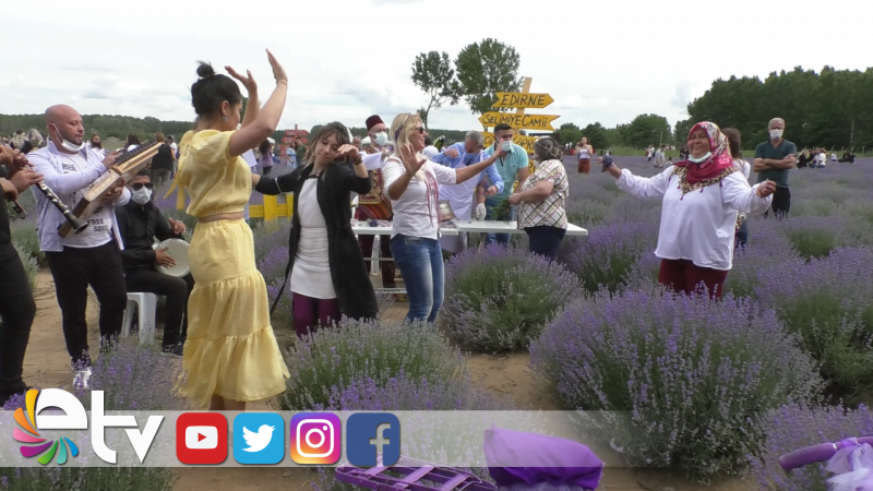 LAVANTA TARLALARI FESTİVAL ALANINA DÖNDÜ