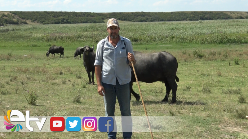 MANDACILIK GİTTİKÇE AZALIYOR!