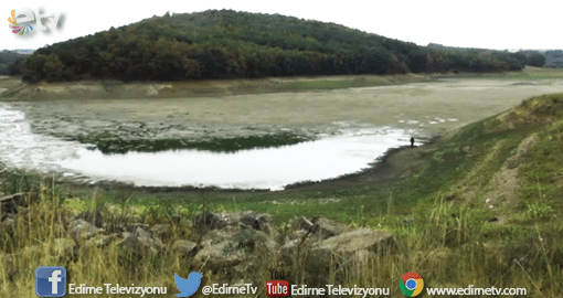 MİLYONLARCA BALIK TELEF OLDU