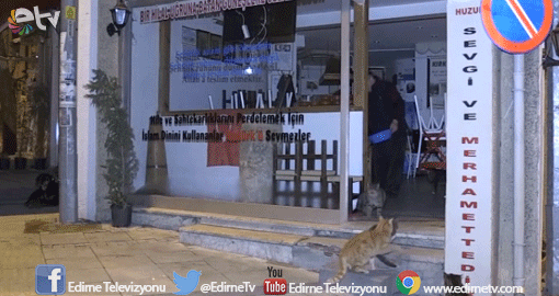 ÖNCE SOKAK HAYVANLARINA HİZMET VERİYOR
