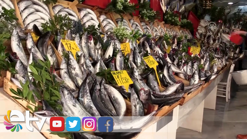 PALAMUT BOLLUĞU SEVİNDİRDİ