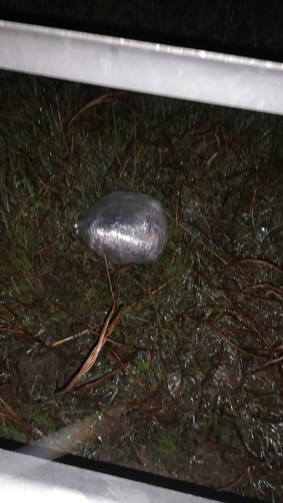 Polisten kaçarken 5 kilo uyuşturucuyu yola attı Osman Gazi Köprüsü Yalova gişelerinde polisin dur ihtarına uymayan otomobil sürücüsü kovalamaca sonucu yakalanırken kaçarken yola attığı 5 kilo ...