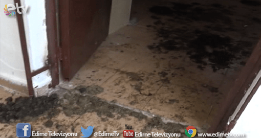 SARAYİÇİ’NİN TUVALETLERİNİ ATLAR KULLANIYOR