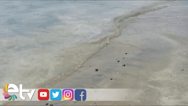 SAROS’DA MÜSİLAJ!