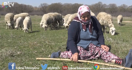 SERTİFİKALI KADIN ÇOBAN ŞERİFE ANA