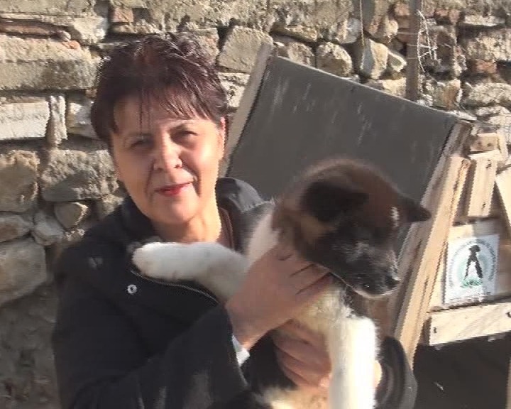 SICAK BİR YUVA ARANIYOR