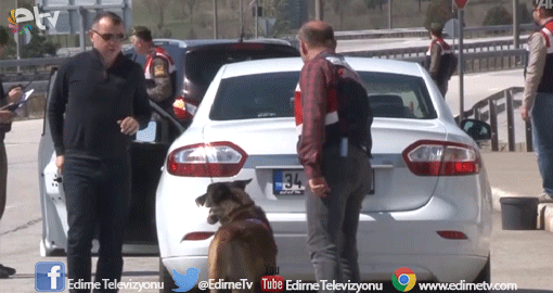 SINIR YOLLARINDA SÜREKLİ DENETİM