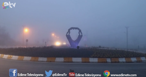 SİS YAŞAMI OLUMSUZ ETKİLEDİ