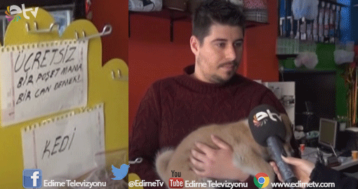 SOKAK HAYVANLARI İÇİN BEDAVA MAMA