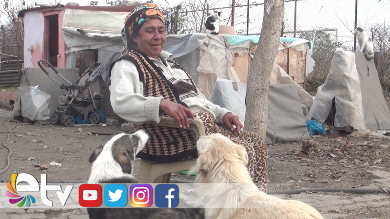 SOKAK HAYVANLARINI BAHÇESİNDE BESLİYOR