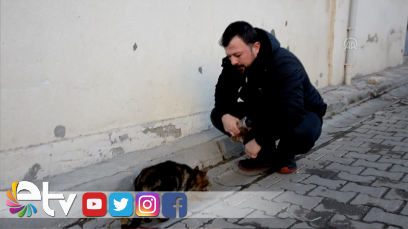 SOKAK HAYVANLARININ GÖNÜLLÜ BAKICISI