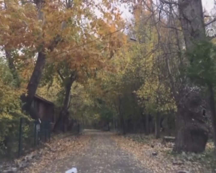 SON BAHAR BİR BAŞKA GÜZEL