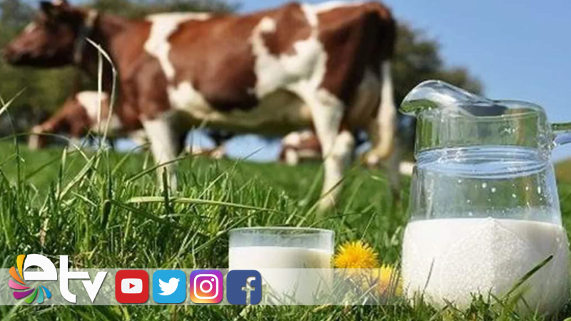 SÜT DESTEKLERİ ÖDENİYOR