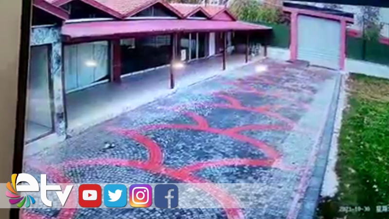 TALİHSİZ GÜVERCİN