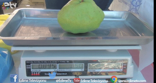 TANESİ 1 KİLO GELİYOR