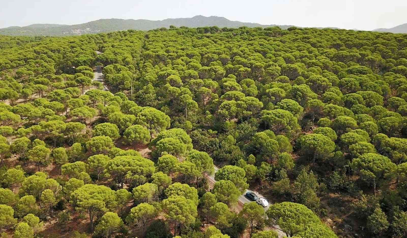 Taşocağı davasında hukuk zaferi Balıkesir’in Ayvalık ilçesinde, Ayvalık Tabiat Derneği ve Ayvalık Belediyesi tarafından Burhaniye’nin Hacıbozlar, Ayvalık’ın Bağyüzü ile Bergama ...