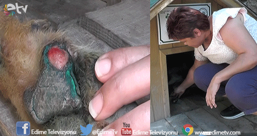 TAVUKLARI YEDİĞİ GEREKÇESİYLE İNANILMAZ İŞKENCE!