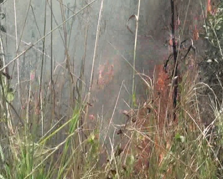 TOMA MÜDAHALE ETTİ