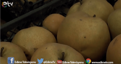 TROPİKAL MEYVE YETİŞTİRİYORLAR