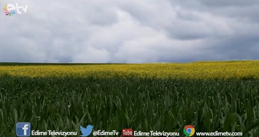 TÜRK TOHUMU TÜM DÜNYADA FİLİZLENİYOR