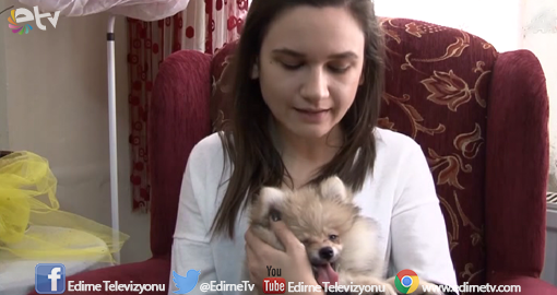 ÜNİVERSİTE ÖĞRENCİSİ YAVRU KÖPEKLERE ‘YEDİEMİN’ OLDU