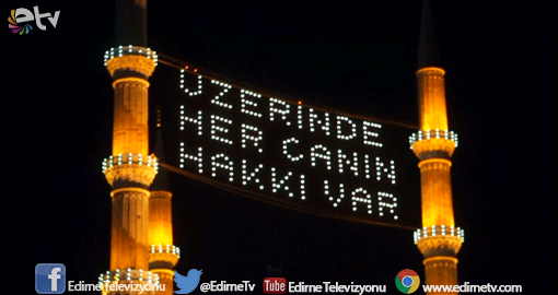 ÜZERİNDE HER CANIN HAKKI VAR