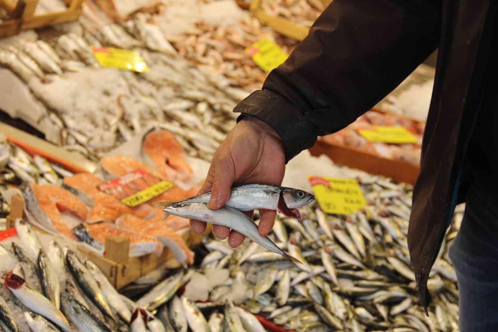 Uzun yıllardır görünmüyordu, yeniden tezgahları şenlendirmeye başladı KOCAELİ (İHA) – Uzun yıllardır denizlerde bolca bulunamayan uskumru yavrusu, Kocaeli’de yeniden balık tezgahlarını süslemeye başladı. Uskumru ...