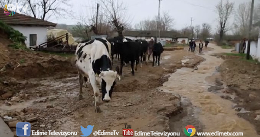 UZUNKÖPRÜ'DE DERE TAŞTI