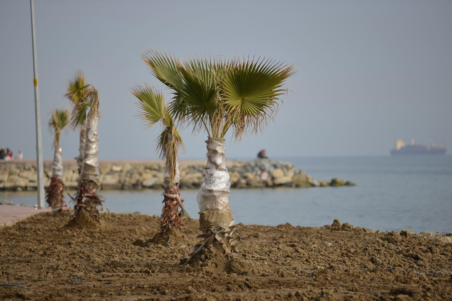 Yaza hazırlıklar başladı Süleymanpaşa Belediyesi, şehre kazandırılan iki yeni sahil şeridinde yaz hazırlıklarına başladı. Belediye Başkanı Yüksel hazırlıkları yerinde ...