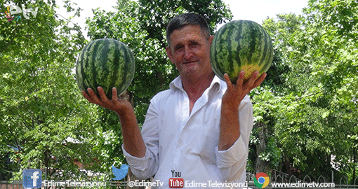 YERLİ KARPUZ ÇIKTI